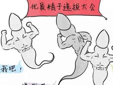 泰国试管婴儿医院排名公布，附排名前五试管婴儿医院名单！