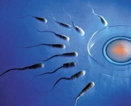 兰州做第三代试管婴儿多少钱？做试管婴儿多少钱一次？