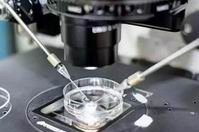 免疫性不孕做试管婴儿注意事项有哪些